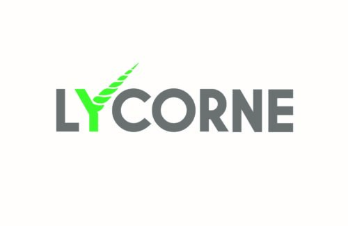 LOGO LYCORNE VF
